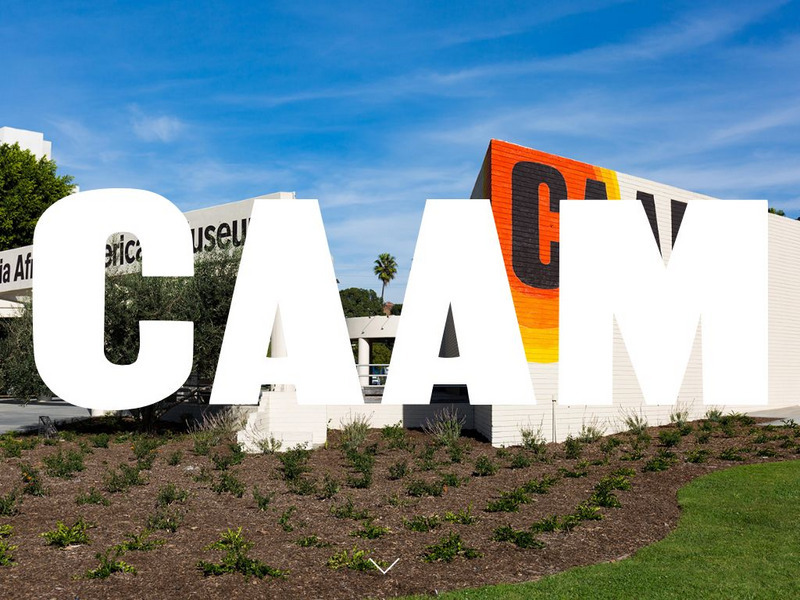 California African American Museum Website California African American Museum Website