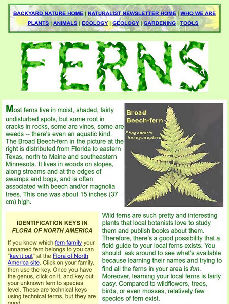Backyard Nature: Ferns Handout