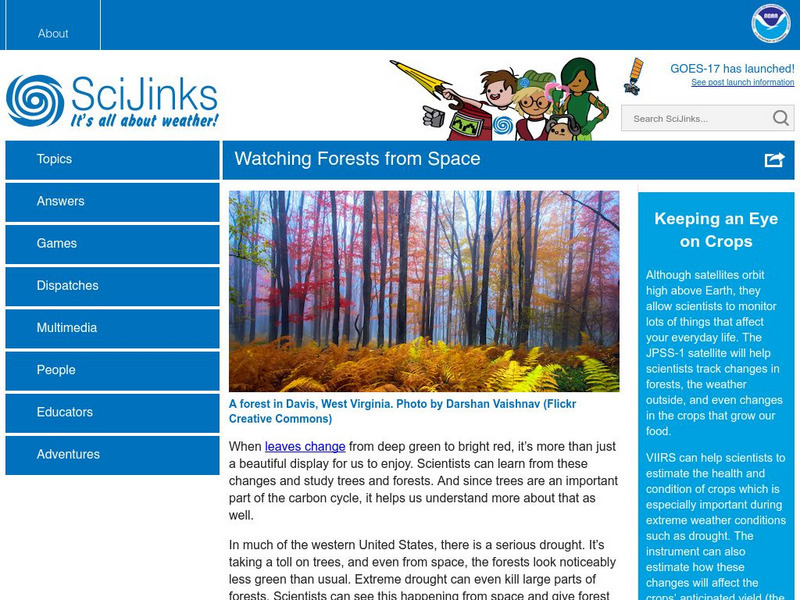 Sci Jinks: Watching Forests From Space Website Sci Jinks: Watching Forests From Space Website