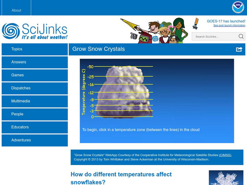 Sci Jinks: Grow Snow Crystals Interactive Sci Jinks: Grow Snow Crystals Interactive