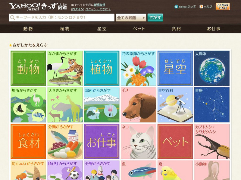 Yahoo! Japan: Multimedia Zukan Encyclopedia Website Yahoo! Japan: Multimedia Zukan Encyclopedia Website