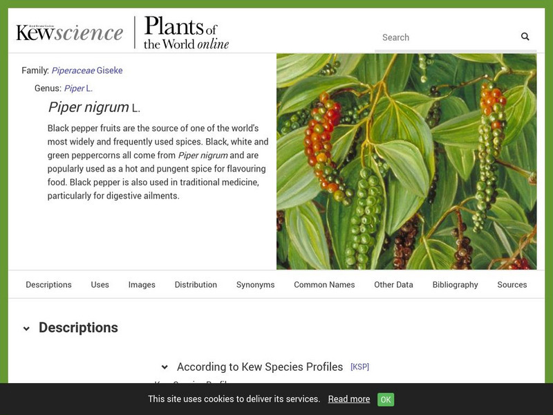 Plant Cultures: Black Pepper Handout