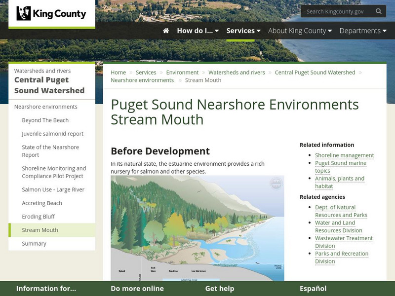 Puget Sound Nearshore Environments Stream Mouth Graphic Puget Sound Nearshore Environments Stream Mouth Graphic