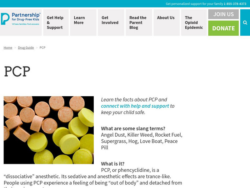 Partnership for a Drug Free America: Pcp Article Partnership for a Drug Free America: Pcp Article