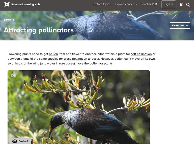 Science Learning Hub: Pollination: Attracting Pollinators Handout Science Learning Hub: Pollination: Attracting Pollinators Handout