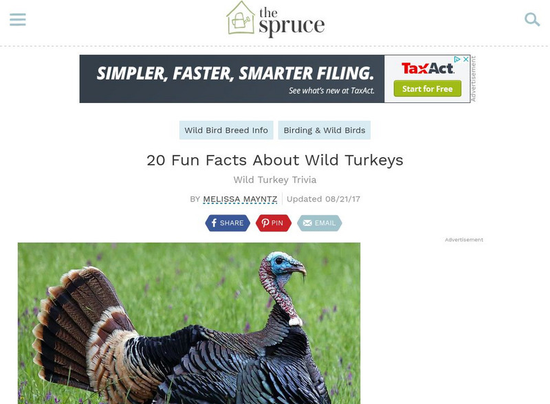 About: Education: 20 Fun Facts About Wild Turkeys Article About: Education: 20 Fun Facts About Wild Turkeys Article