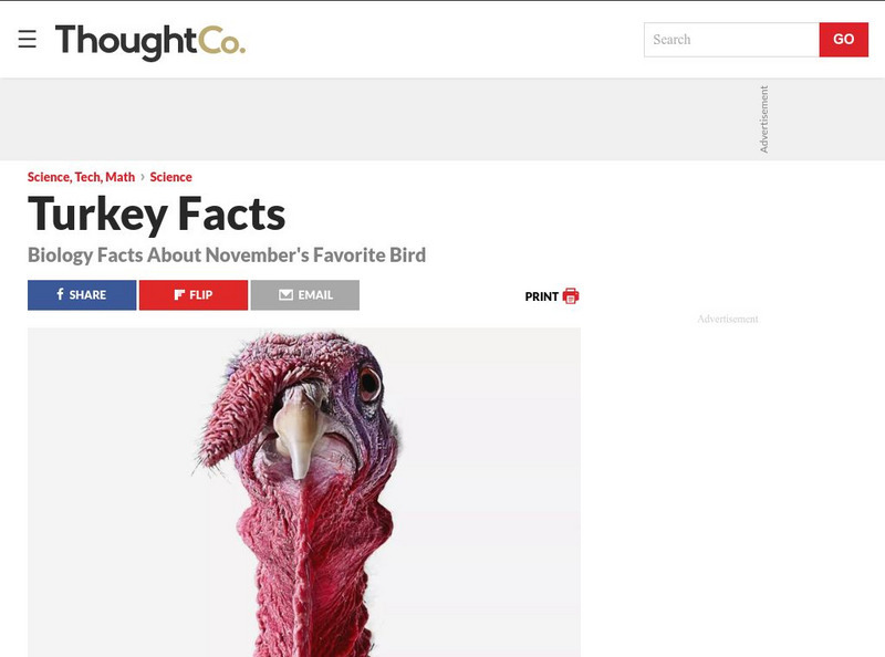 About: Education: Turkey Facts Article About: Education: Turkey Facts Article