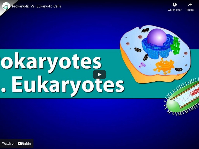 Richochet Science: Prokaryotic and Eukaryotic Cells Video Instructional Video