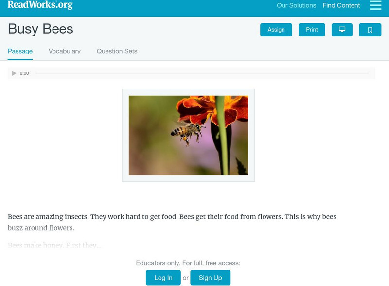 Read Works: Busy Bees Activity Read Works: Busy Bees Activity
