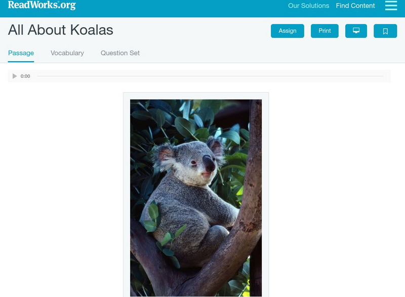 Read Works: All About Koalas Activity Read Works: All About Koalas Activity