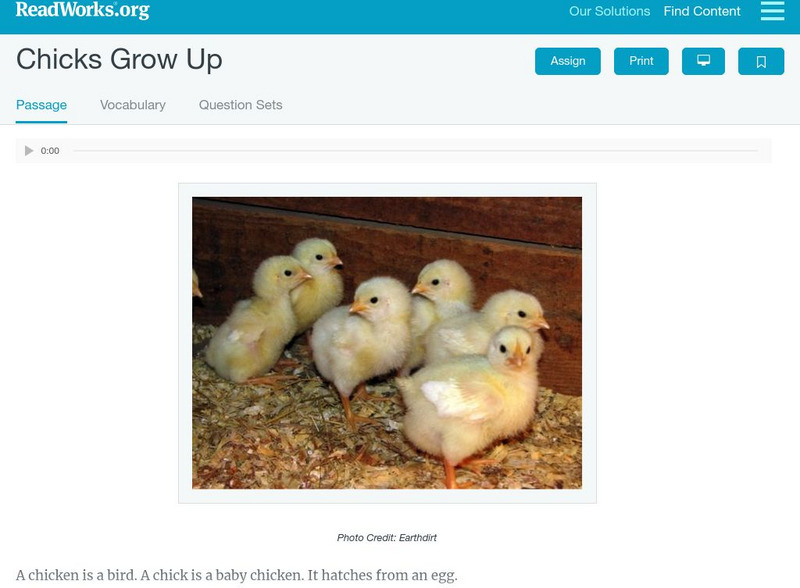 Read Works: Chicks Grow Up Activity Read Works: Chicks Grow Up Activity