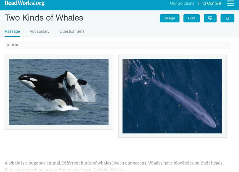 Read Works: Two Kinds of Whales Activity Read Works: Two Kinds of Whales Activity