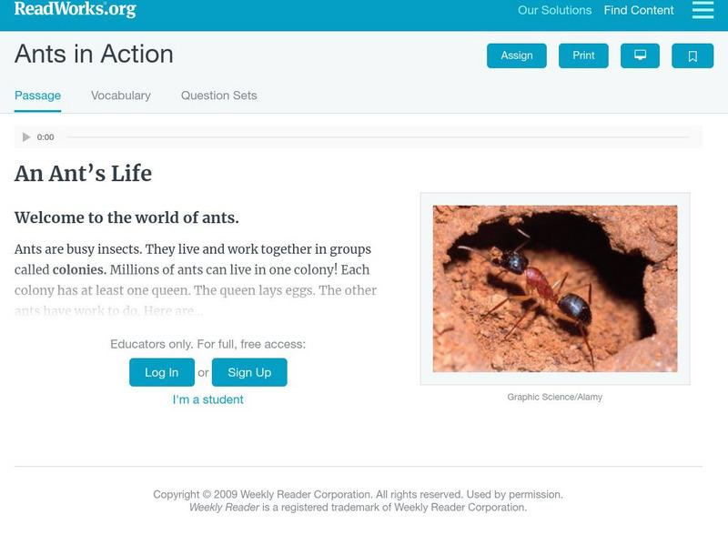 Read Works: Ants in Action Activity Read Works: Ants in Action Activity