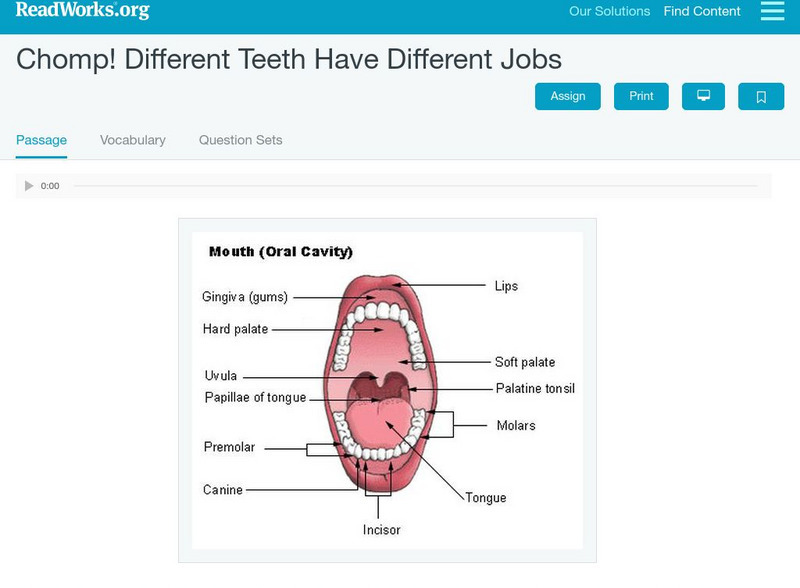Read Works: Chomp! Different Teeth Have Different Jobs Activity Read Works: Chomp! Different Teeth Have Different Jobs Activity