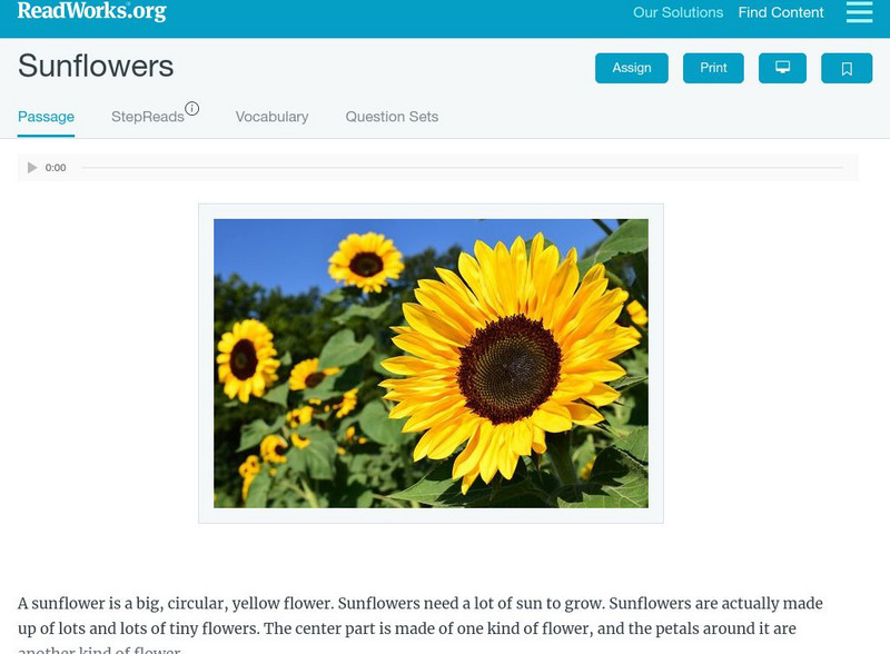 Read Works: Sunflowers Activity Read Works: Sunflowers Activity