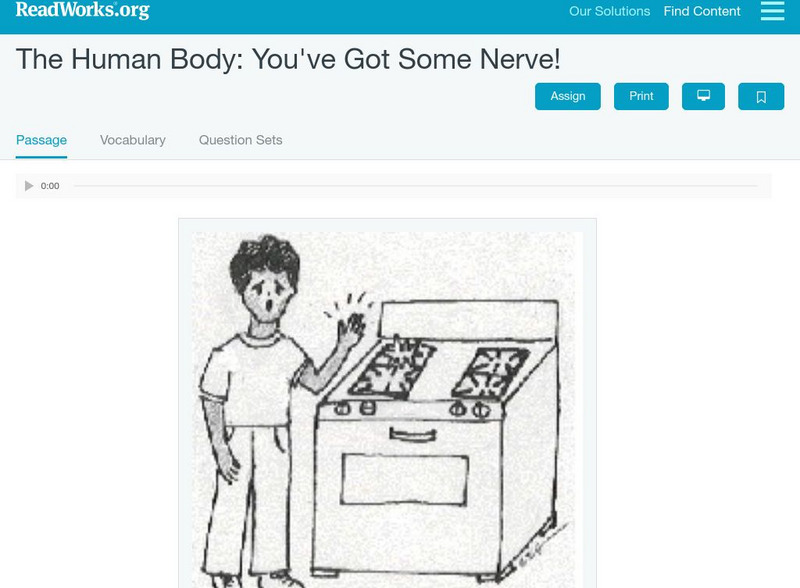 Read Works: The Human Body You've Got Some Nerve! Activity Read Works: The Human Body You've Got Some Nerve! Activity