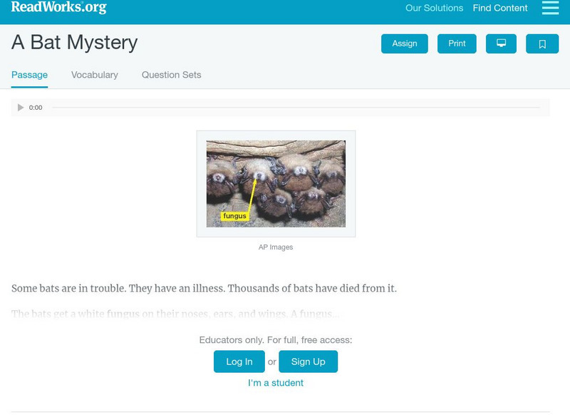 Read Works: A Bat Mystery Activity