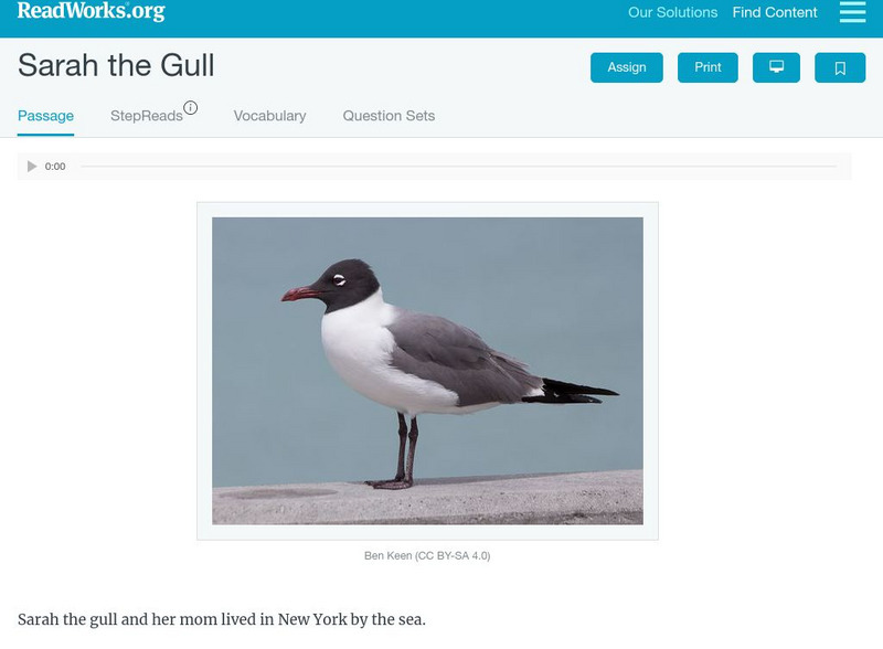 Read Works: Sarah the Seagull Activity Read Works: Sarah the Seagull Activity