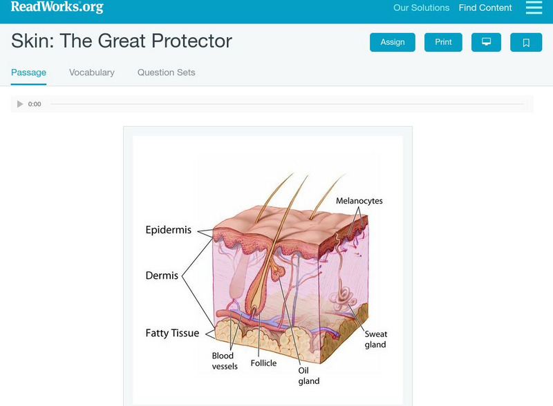 Read Works: Skin the Great Protector Activity Read Works: Skin the Great Protector Activity