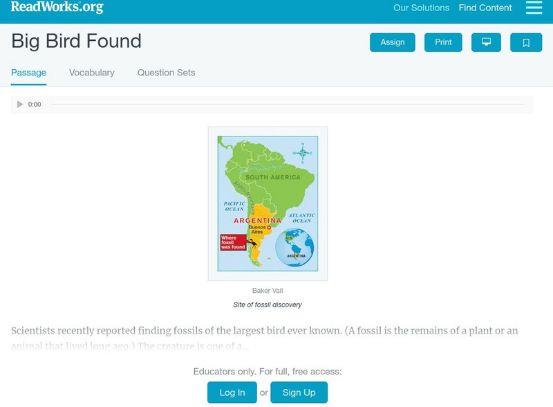 Read Works: Big Bird Found Activity Read Works: Big Bird Found Activity