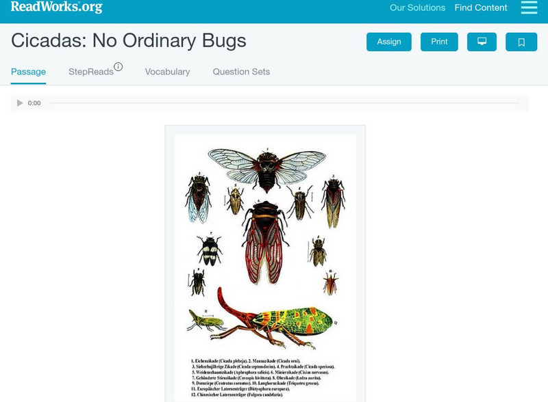 Read Works: Cicadas: No Ordinary Bugs Activity