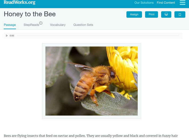 Read Works: Honey to the Bee Activity Read Works: Honey to the Bee Activity