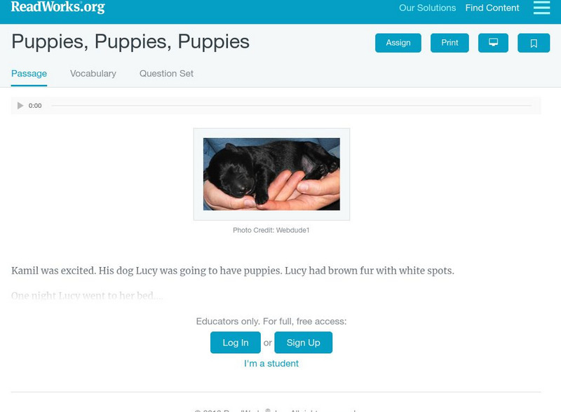Read Works: Puppies, Puppies, Puppies Activity Read Works: Puppies, Puppies, Puppies Activity