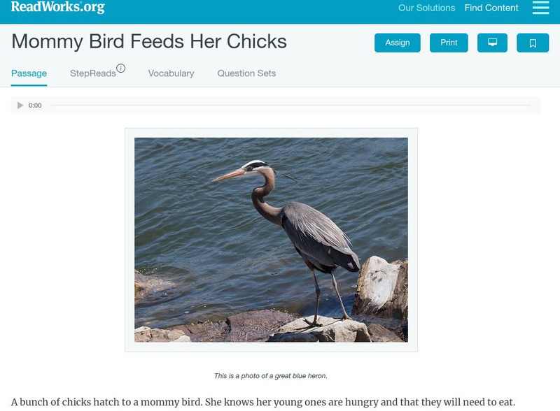 Read Works: Mommy Bird Feeds Her Chicks Activity Read Works: Mommy Bird Feeds Her Chicks Activity