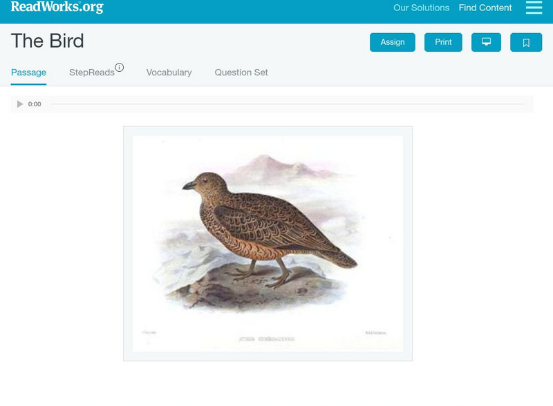 Read Works: The Bird Activity Read Works: The Bird Activity
