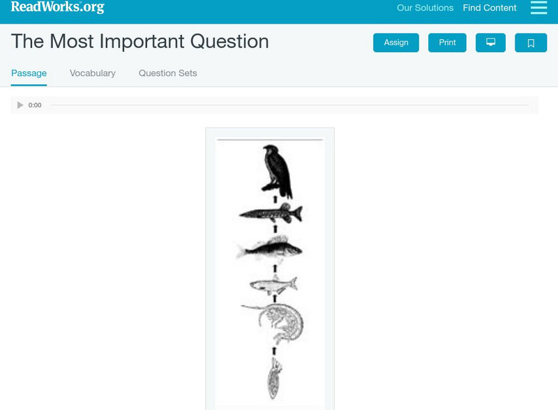 Read Works: The Most Important Question Activity Read Works: The Most Important Question Activity