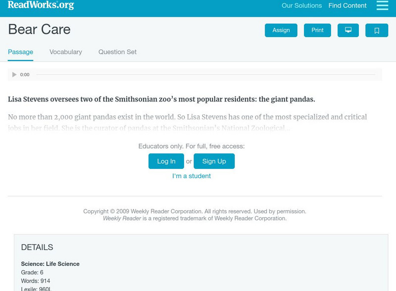 Read Works: Bear Care Activity Read Works: Bear Care Activity