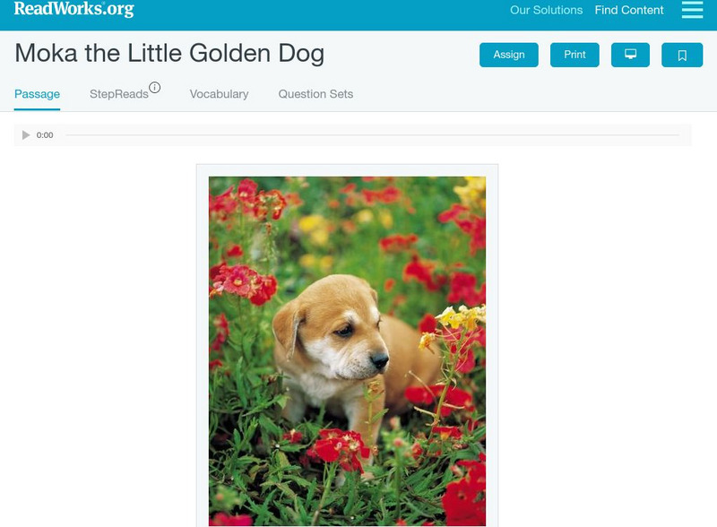 Read Works: Moka the Little Golden Dog Activity Read Works: Moka the Little Golden Dog Activity