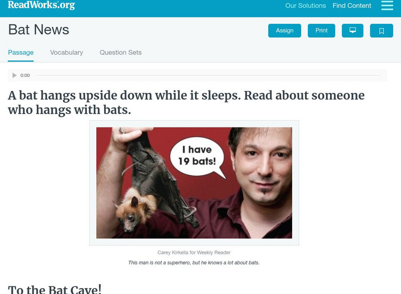 Read Works: Bat News Activity Read Works: Bat News Activity