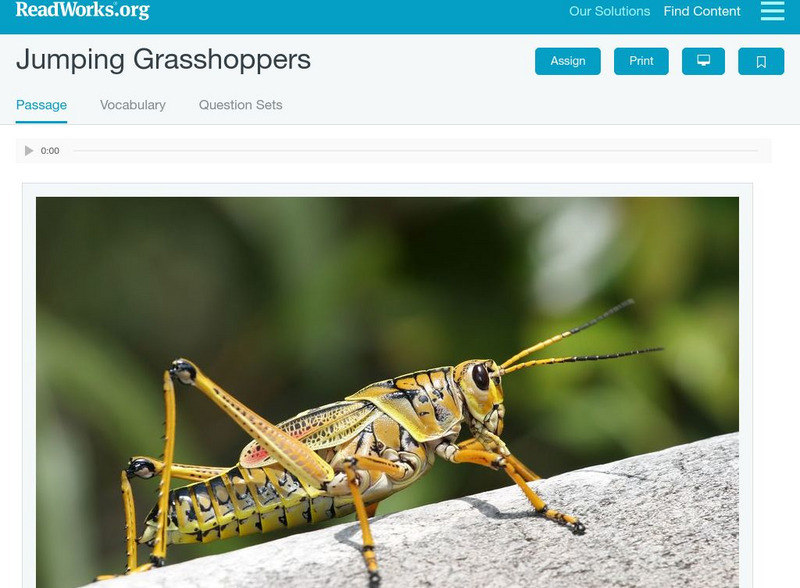 Read Works: Jumping Grasshoppers by Linda Ruggieri Article Read Works: Jumping Grasshoppers by Linda Ruggieri Article