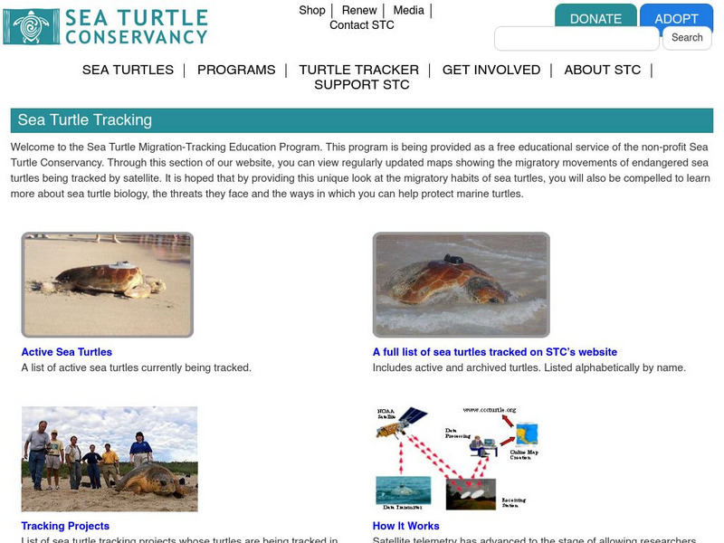 Sea Turtle Conservancy: List of Sea Turtle Tracking Projects Activity Sea Turtle Conservancy: List of Sea Turtle Tracking Projects Activity