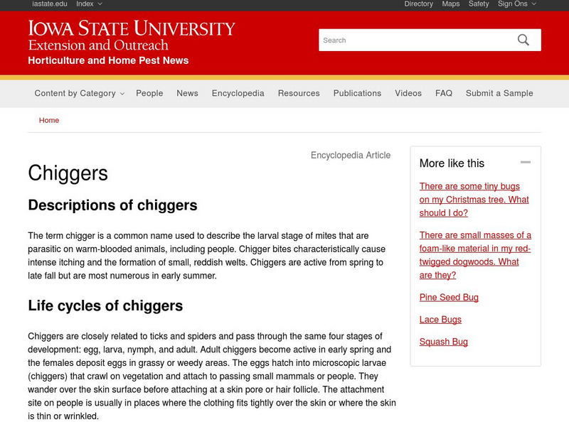 Iowa State University: Iowa Insect Information Notes Chiggers Handout