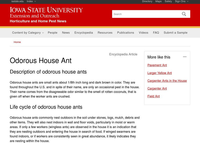 Iowa State Entomology: Odorous House Ant Handout Iowa State Entomology: Odorous House Ant Handout