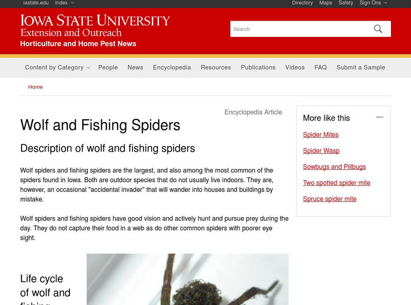 Iowa State University: Iowa Insect Information Notes Wolf and Fisher Spider Handout Iowa State University: Iowa Insect Information Notes Wolf and Fisher Spider Handout