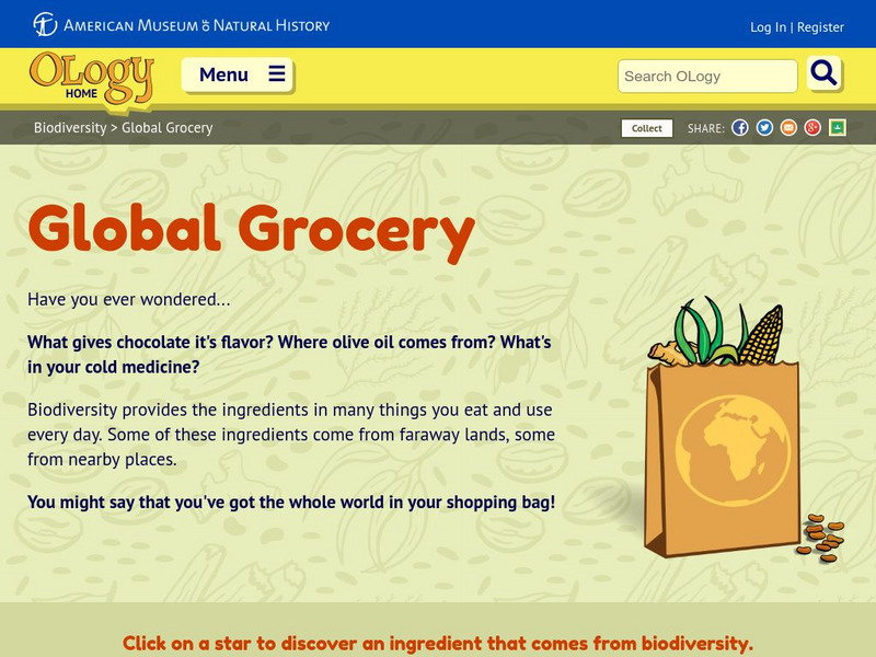 American Museum of Natural History: O Logy: Global Grocery Interactive American Museum of Natural History: O Logy: Global Grocery Interactive