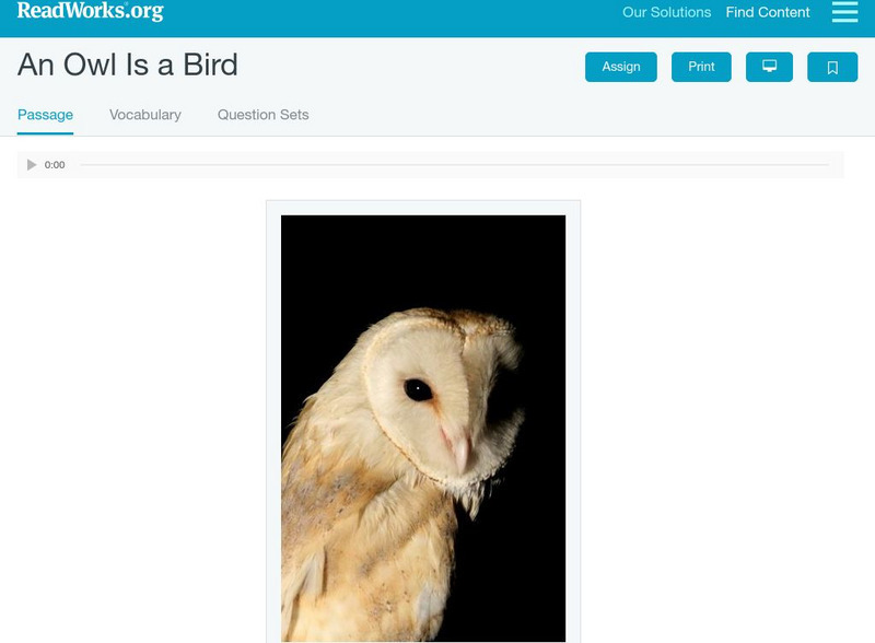 Read Works: An Owl Is a Bird Activity Read Works: An Owl Is a Bird Activity