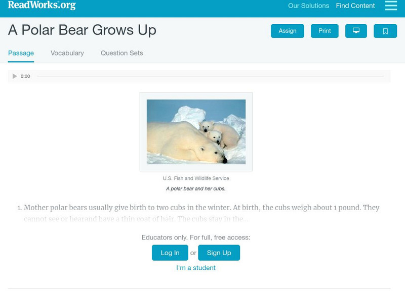 Read Works: A Polar Bear Grows Up [Pdf] Activity