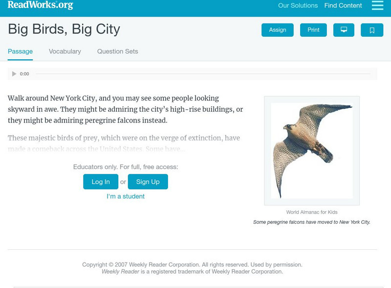 Read Works: Big Birds, Big City Activity Read Works: Big Birds, Big City Activity