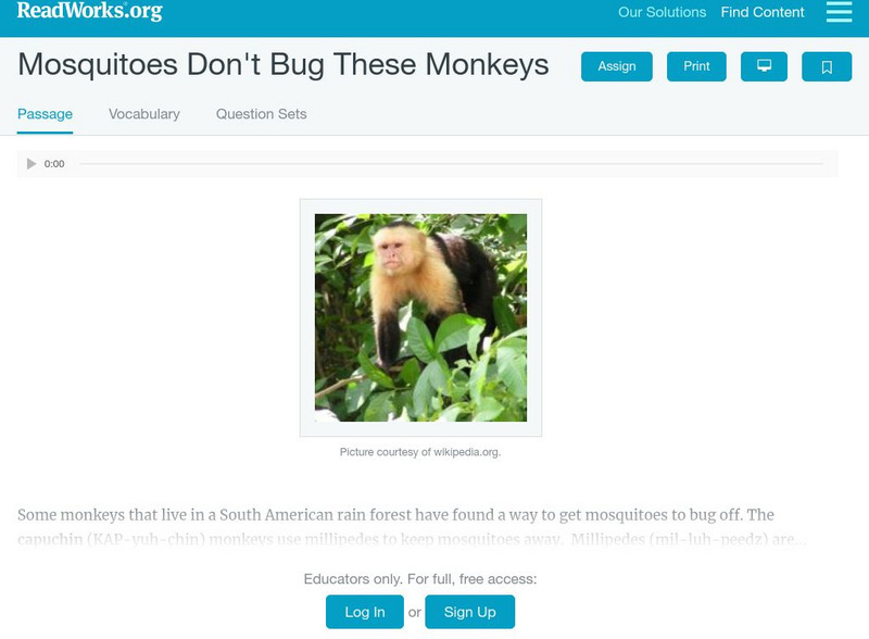 Read Works: Mosquitoes Don't Bug These Monkeys Activity