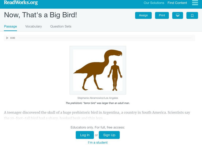 Read Works: Now, That's a Big Bird! Activity Read Works: Now, That's a Big Bird! Activity