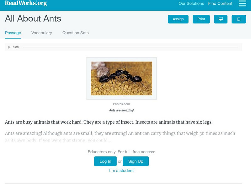 Read Works: All About Ants Activity Read Works: All About Ants Activity