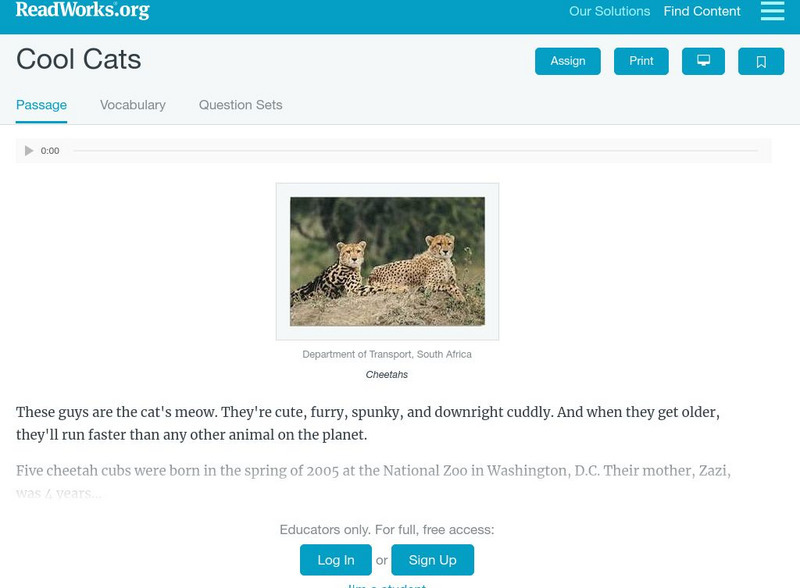 Read Works: Cool Cats Activity Read Works: Cool Cats Activity