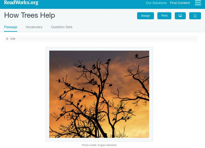 Read Works: How Trees Help Activity Read Works: How Trees Help Activity