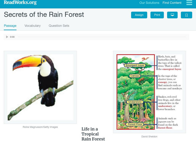 Read Works: Secrets of the Rain Forest Activity Read Works: Secrets of the Rain Forest Activity