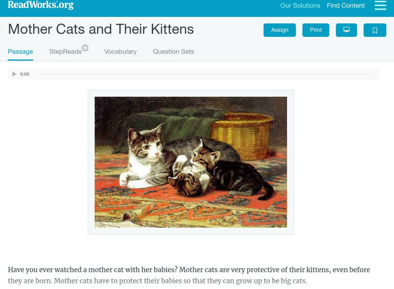 Read Works: Mother Cats and Their Kittens Activity Read Works: Mother Cats and Their Kittens Activity