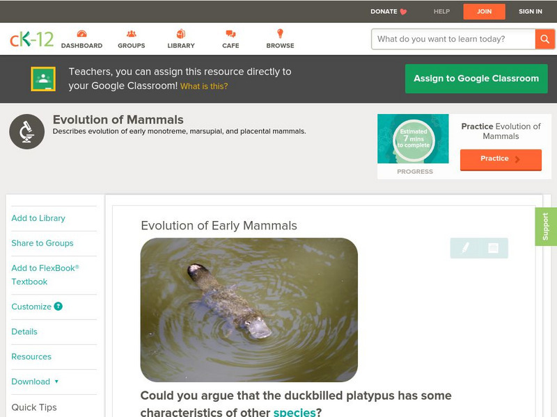 Ck 12: Biology: Evolution of Early Mammals Unit Plan